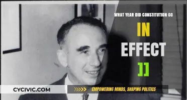 Constitution's Effect: The Year Everything Changed